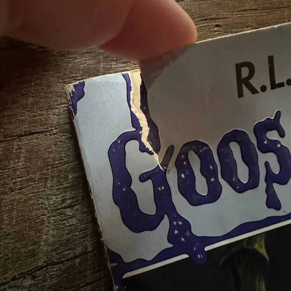 Scholastic Goosebumps Books Set (3)